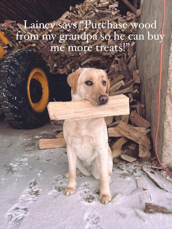 All Photos for Andy Naylor Excavation in Johnson, VT