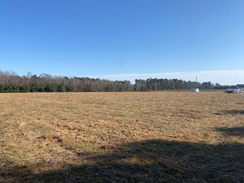 All Photos for T&S Land Management Services in Effingham County, GA