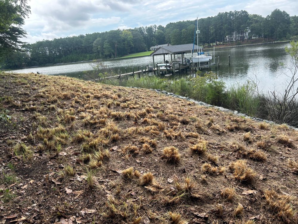 All Photos for The Whole 9 Yards Landscape VA in Heathsville, VA