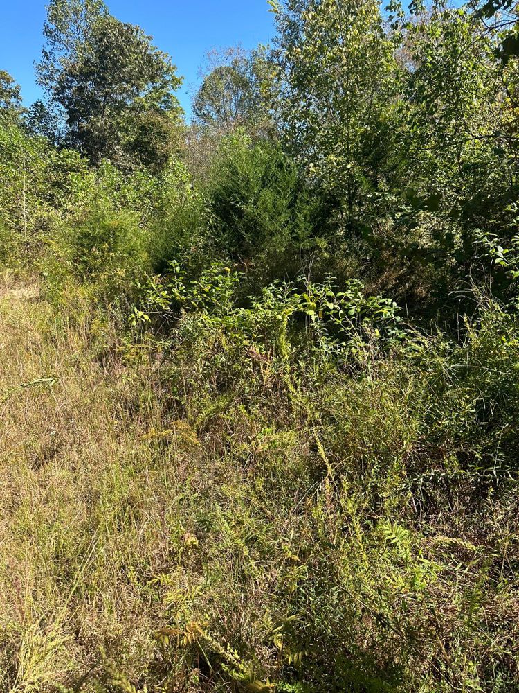 All Photos for Excavation Innovations in Rogersville, TN