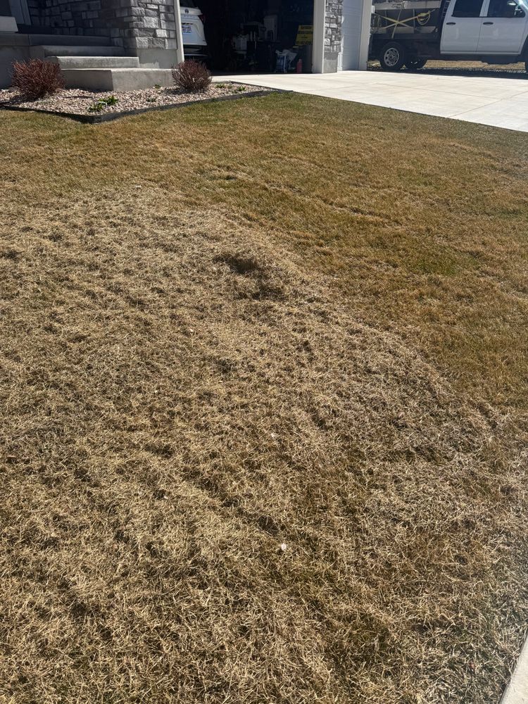 All Photos for Platinum Lawn Service in Santaquin, UT