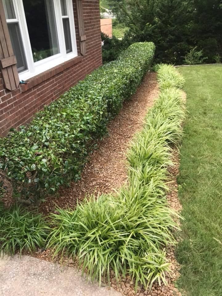 Our professional Shrub Trimming service ensures your shrubs are properly pruned for healthy growth and aesthetics, enhancing the overall appearance of your outdoor space. Contact us for a consultation today. for Mtn. View Lawn & Landscapes in Chattanooga, TN