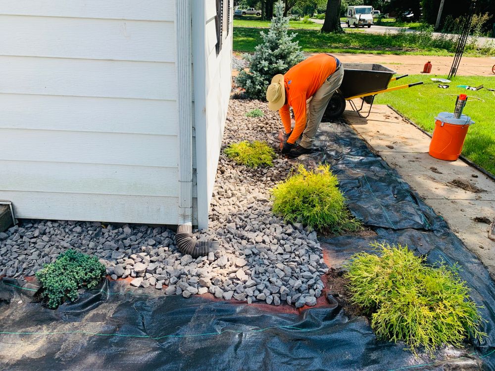 All Photos for Jackson Lawn Services LLC in St Louis, MO