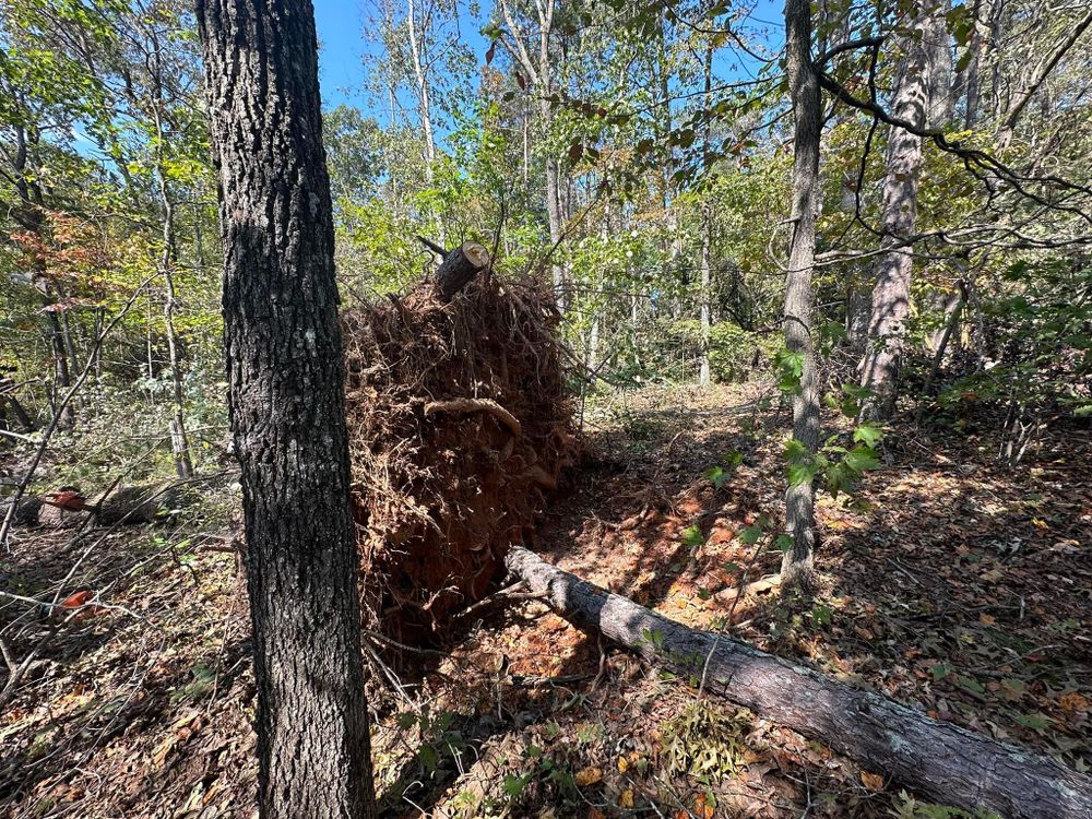 All Photos for The Flip Flop Roofer in Statesville, NC