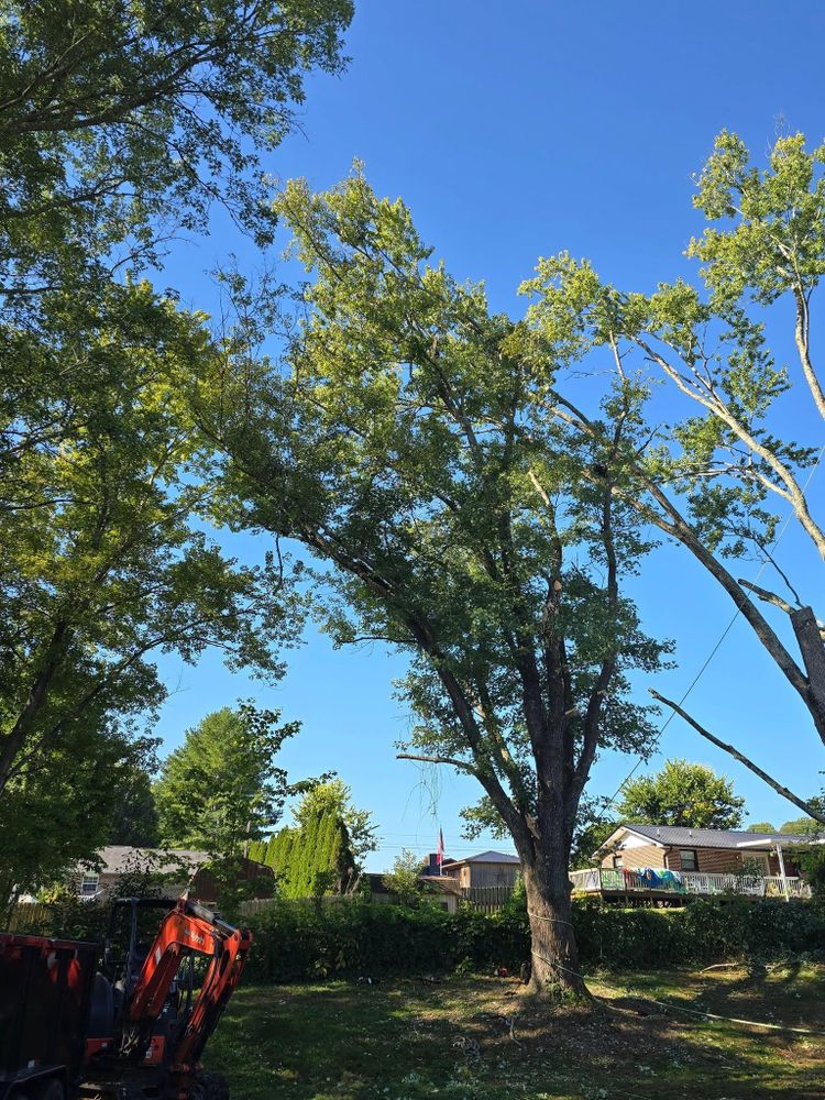 All Photos for M&L Lumber and Excavating in Jonesborough, TN