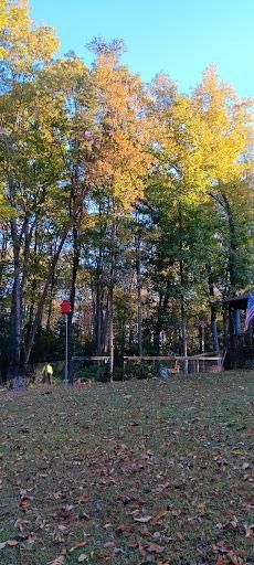 All Photos for Mario's Tree Service in Richmond, VA