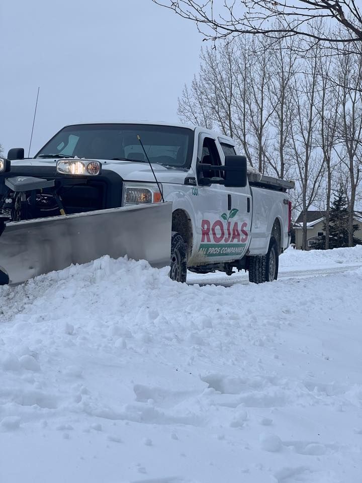 Our snow removal service ensures safe, clear pathways throughout winter. We prioritize efficiency and reliability, minimizing hazards while enhancing accessibility for homeowners with expertly managed snow and ice clearance from driveways and walkways. for Rojas Services in Northfield, MN