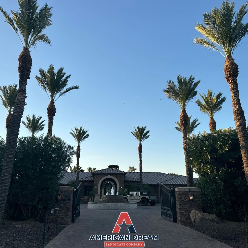 Commercial Lawn Maintenance for American Dream Landscape Company in Surprise, AZ