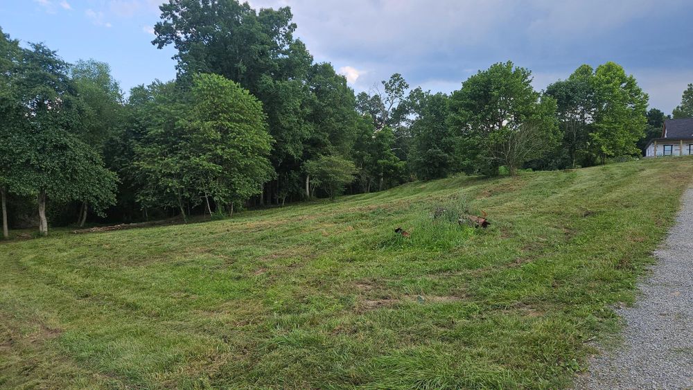 All Photos for B&B Land Management in Jamestown, TN