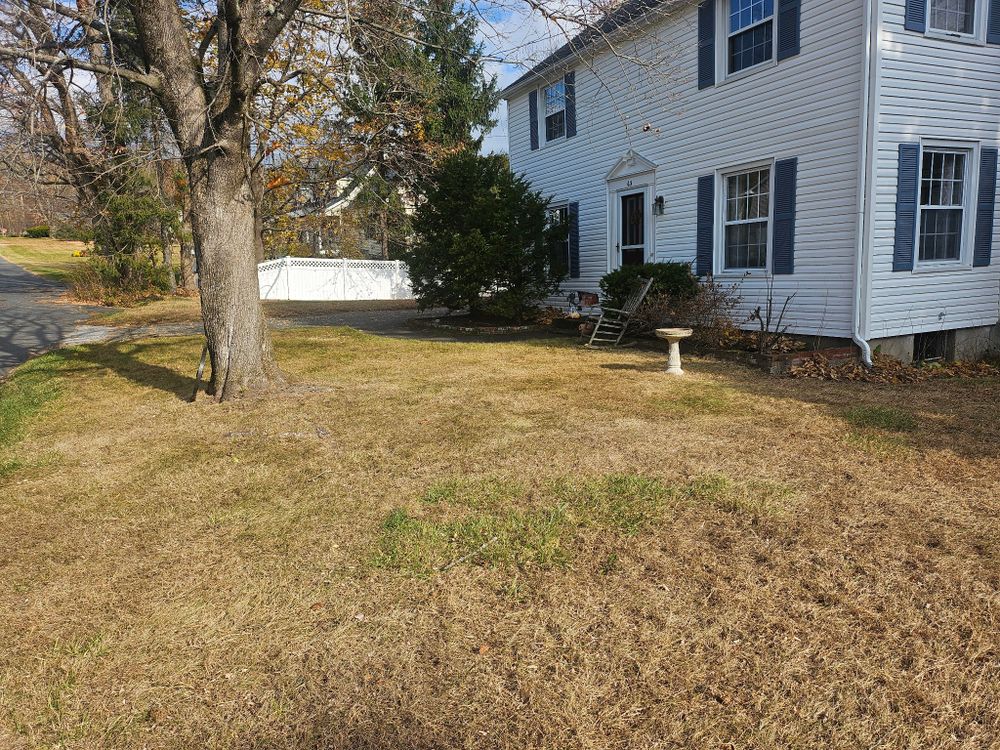 Spring & Fall Cleanups for Landscape Innovations LLC in Torrington, CT