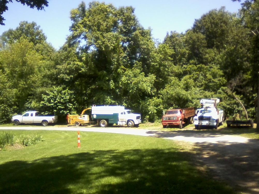 Tree Removal for Lightning Tree Service in Corydon, IN