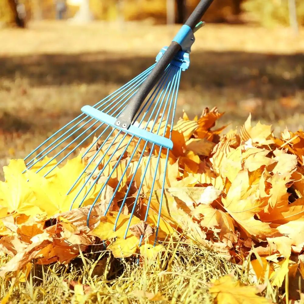 Our Fall Clean Up service ensures your lawn is pristine by removing leaves, debris, and preparing your yard for winter. Enjoy a healthy lawn that thrives come springtime with our expert care. for Dm Lawncare service in Brentwood, TN