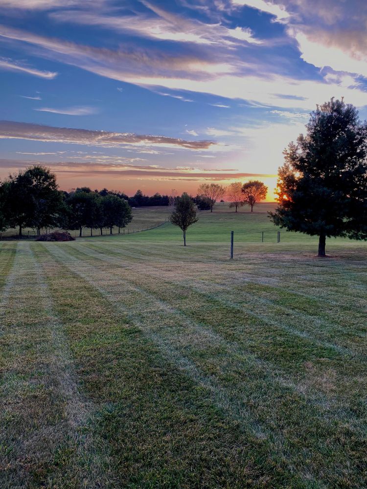 All Photos for Elite Lawn Care Solutions in Basehor, KS