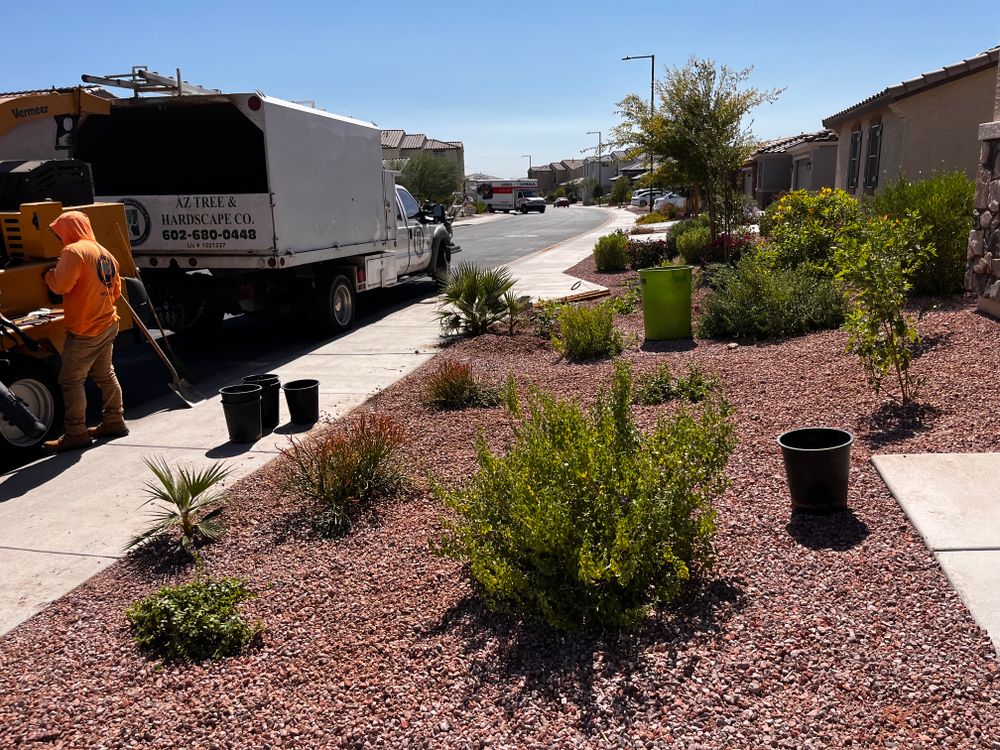 All Photos for AZ Tree & Hardscape Co in Surprise, AZ