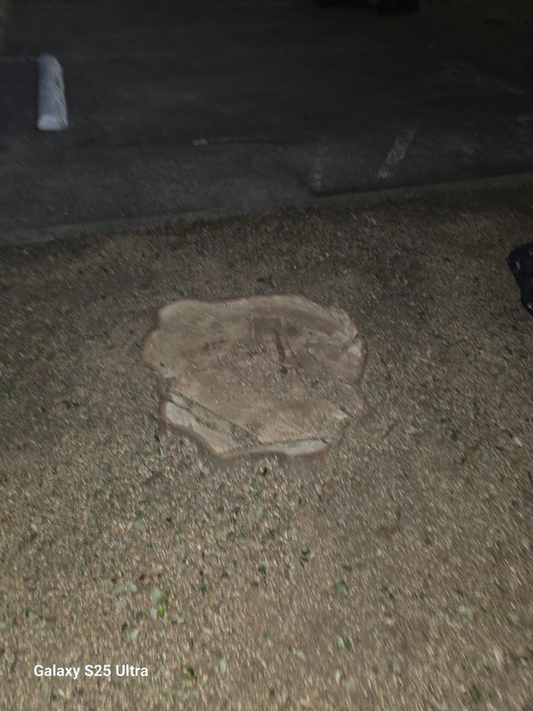 All Photos for Romero's Irrigation & Landscaping LLC in Fort Worth, TX