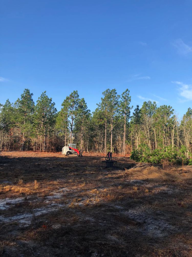 Our Tree Service specializes in tree trimming, removal, maintenance, stump grinding & more. Enhance your property's beauty & safety with our expert solutions, distinct from other lawn services offered. for SodGods Lawncare and Landscaping in Fayetteville , NC