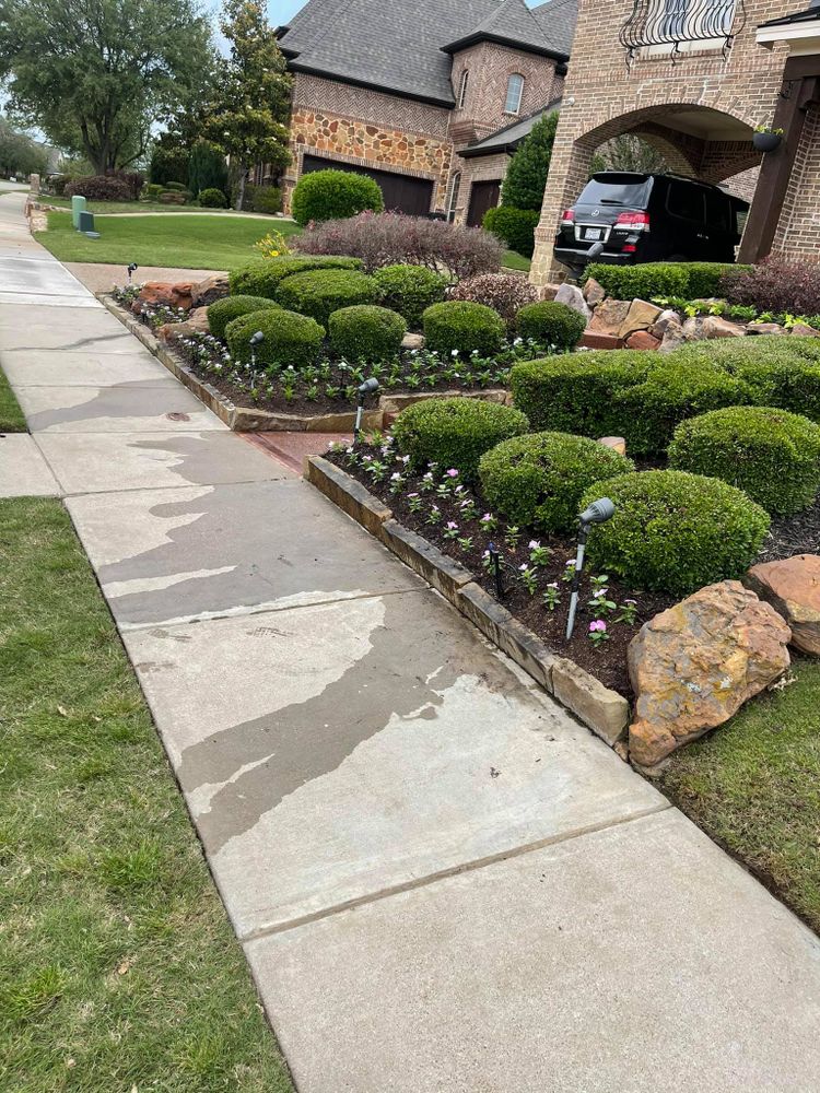 Seasonal color changes for Guerrero's Landscape in Fort Worth,  TX