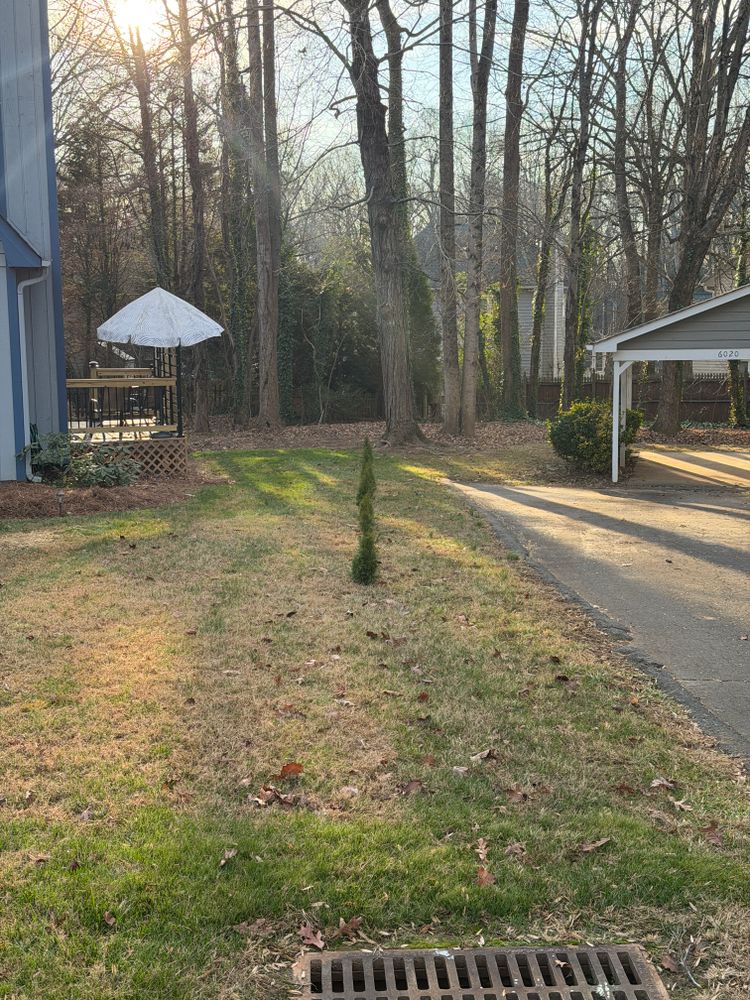 Lawn Care for Holloway Yard Company in Greensboro, NC