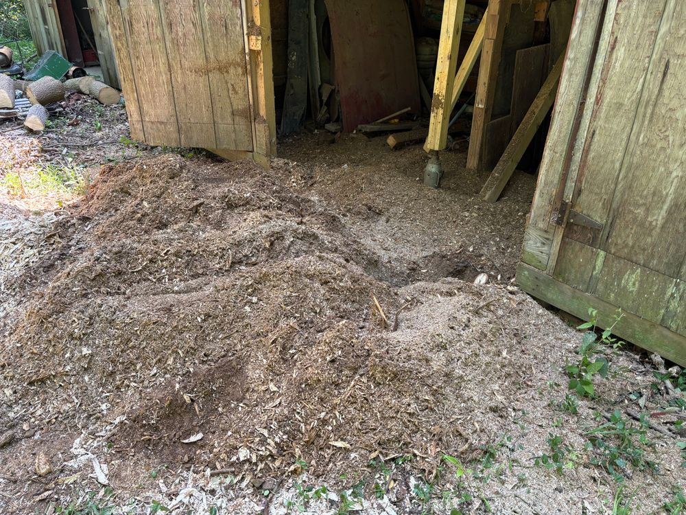 All Photos for Conrad's Stump Removal in Columbus, IN