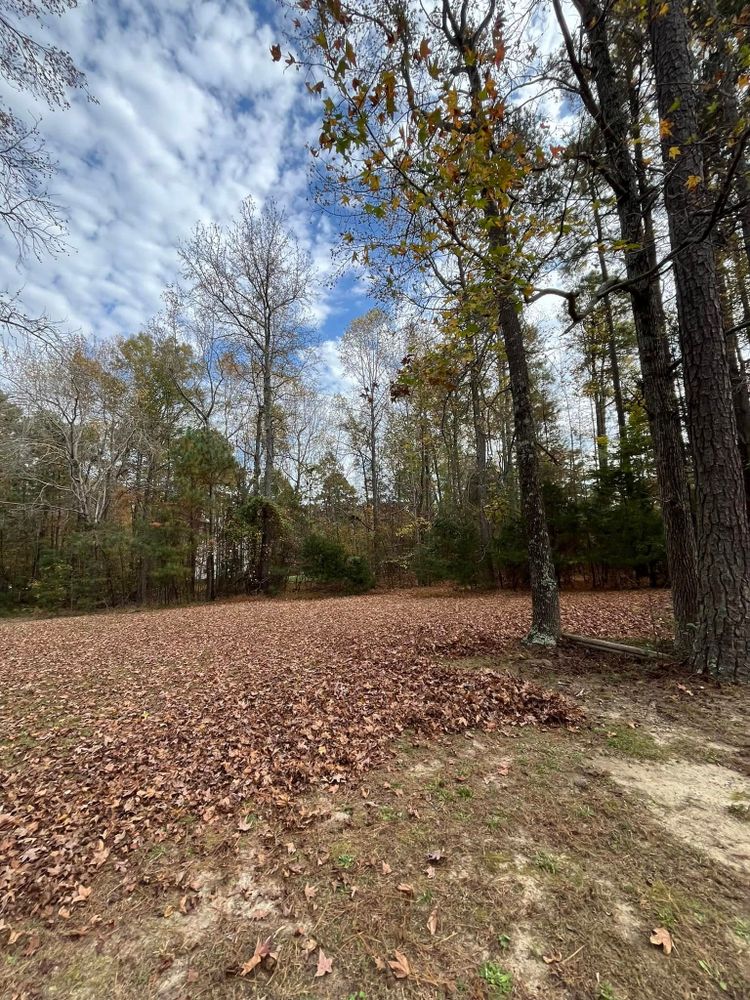 All Photos for C + C Landscaping in Chesterfield, VA