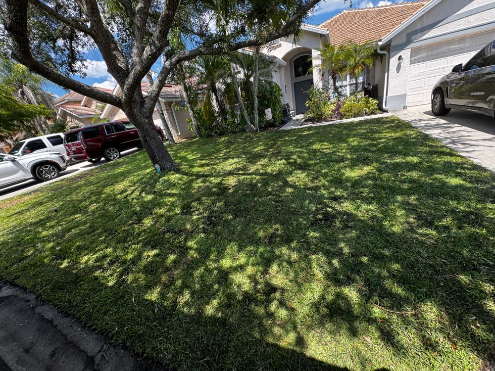 All Photos for BH Lawn & Landscape in LaBelle, FL