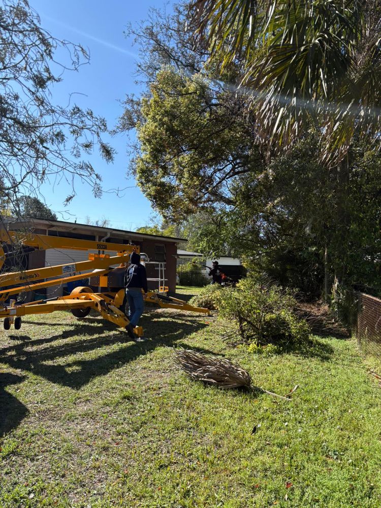 All Photos for Top Notch Tree Experts in Orange Park, FL