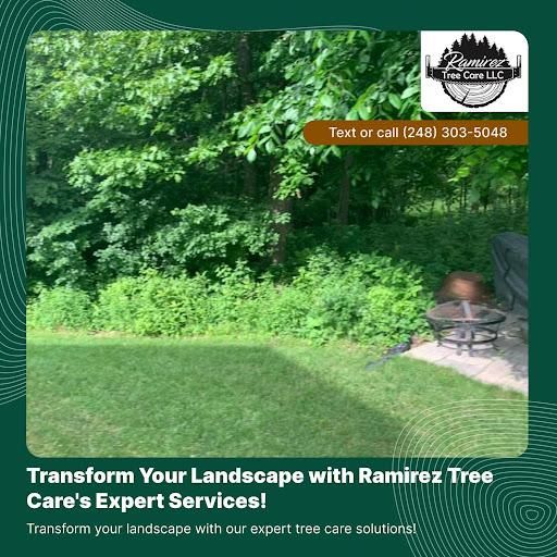 All Photos for Ramirez Tree Care in Pontiac, Michigan