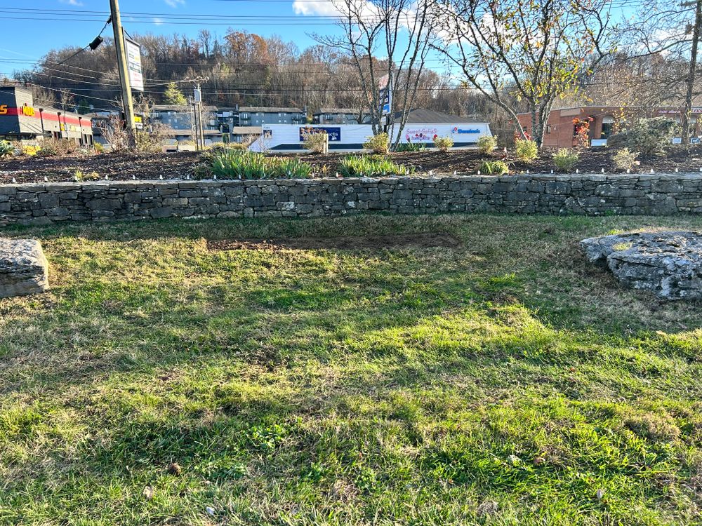 Fall Leaf Clean-Up for Russell's Lawn Care Plus in Nashville, TN