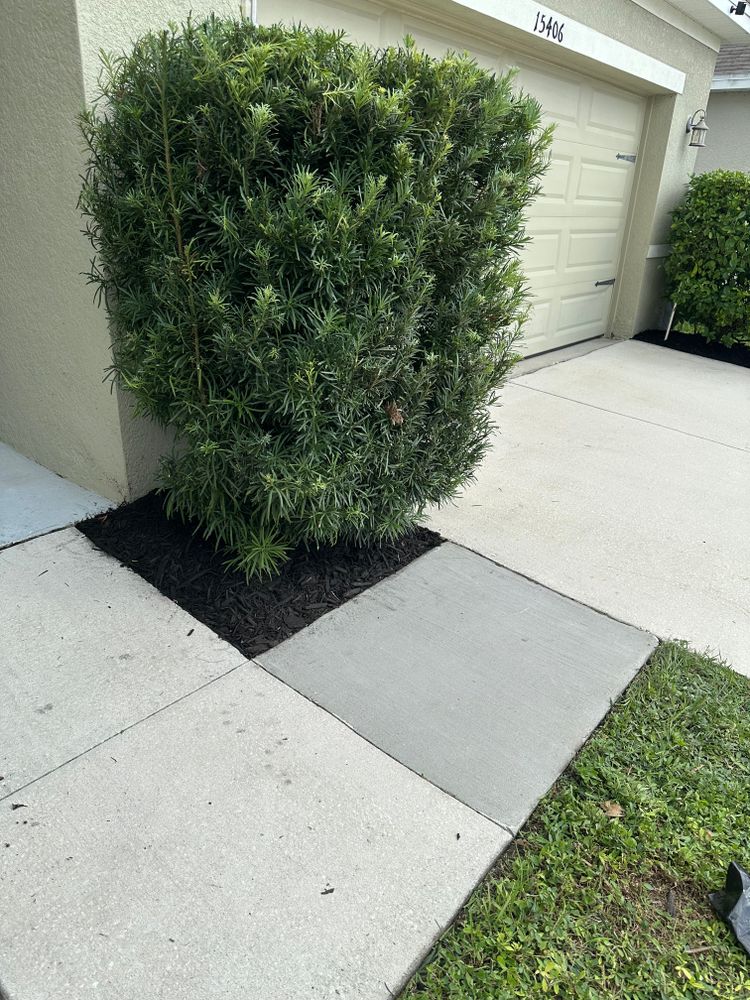 All Photos for The Yardman in Tampa, FL