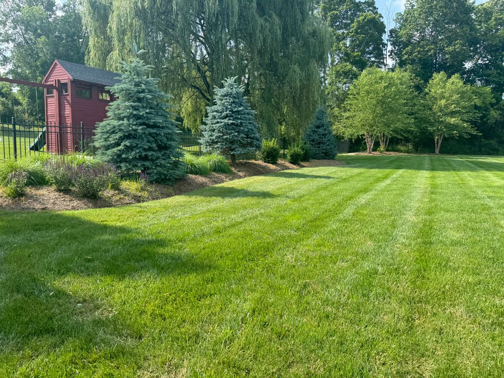 All Photos for Adams Landscaping in Springfield, MA