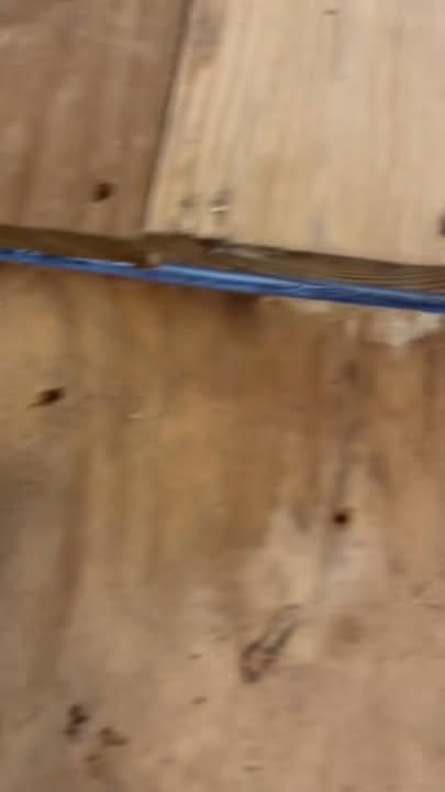 All Photos for R&C Construction/Lawn Care Services in Bertrand, MO