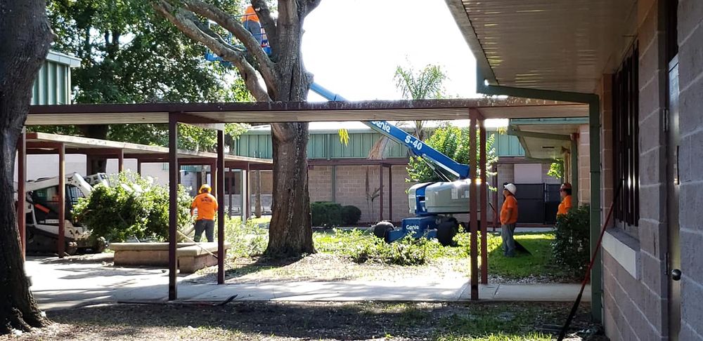 Tree Removal for Daniel Hickey’s Tree Service in DeLand, FL