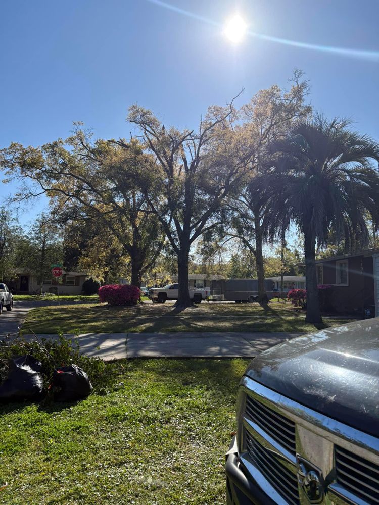 All Photos for Top Notch Tree Experts in Orange Park, FL