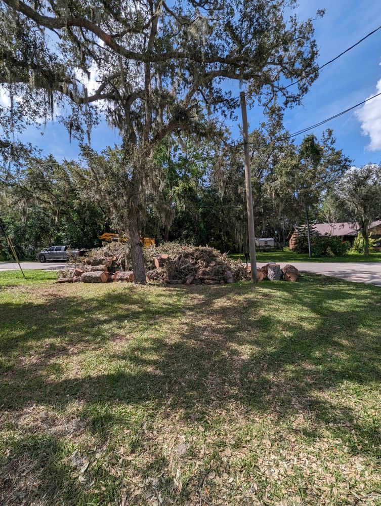 All Photos for Regal Tree Service and Stump Grinding in Wauchula, FL