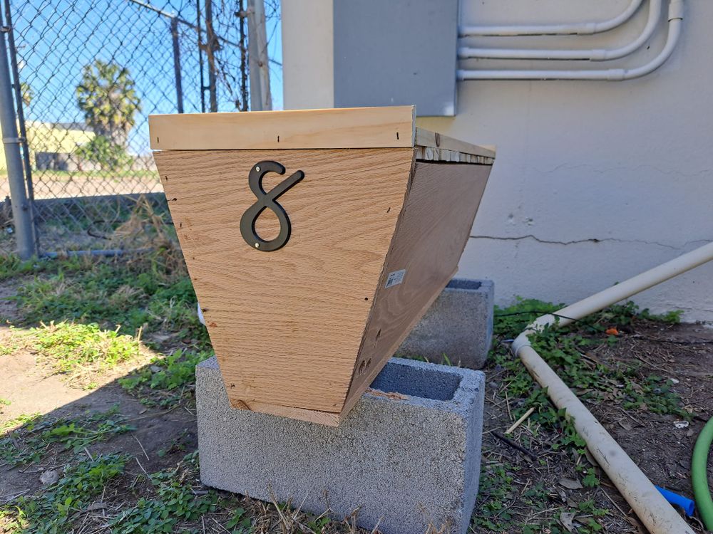 Residential hive removal