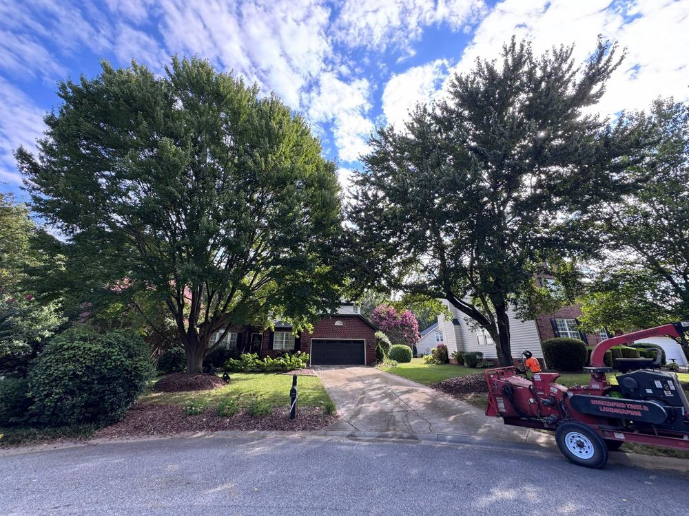 All Photos for Diversified Tree Company in Trinity, NC