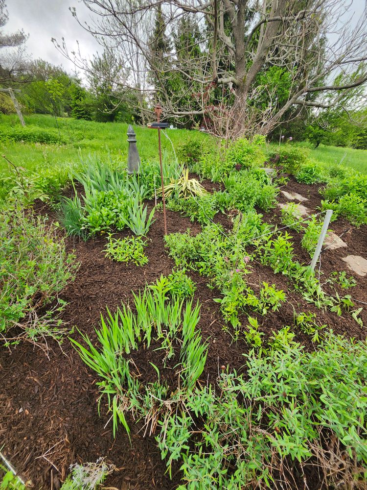 All Photos for Landscape Innovations LLC in Torrington, CT