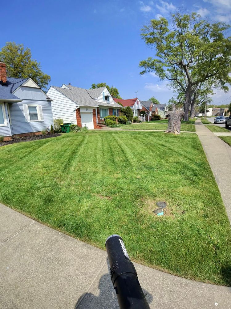 All Photos for Yard Theory in Willowick, OH