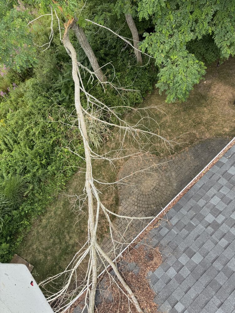 Storm Clean-up for Robery's Tree Service in West Wareham, MA