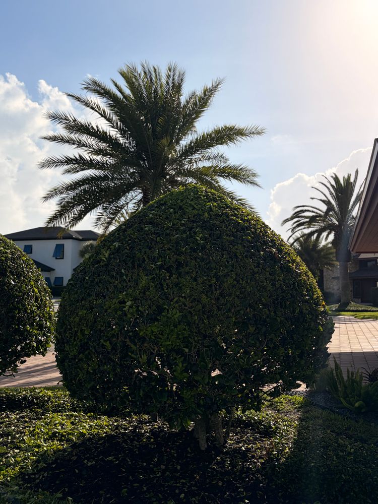 All Photos for Vanic's Landscaping in Port Orange, FL