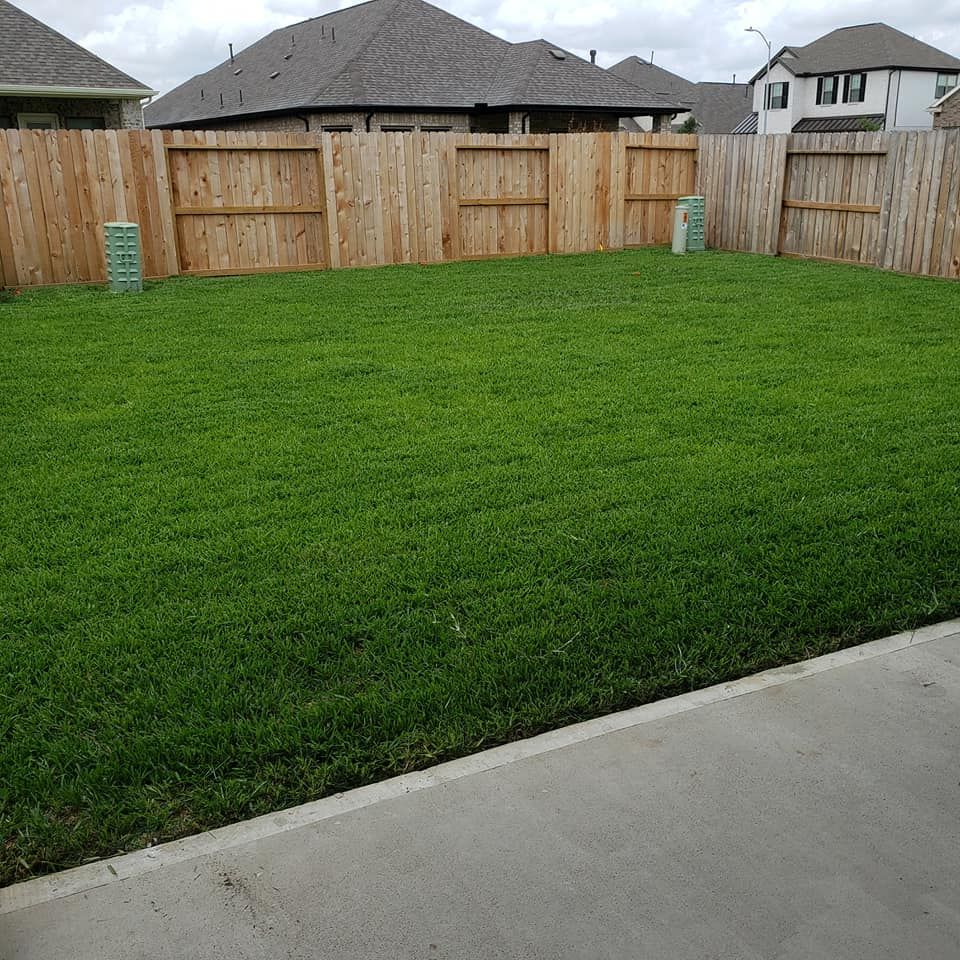 Lawn Care for T.W. Lawn Care in Pearland, TX