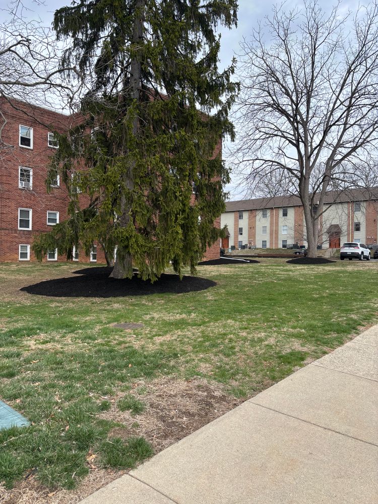 All Photos for Rigante LandWorx in Nazareth, PA