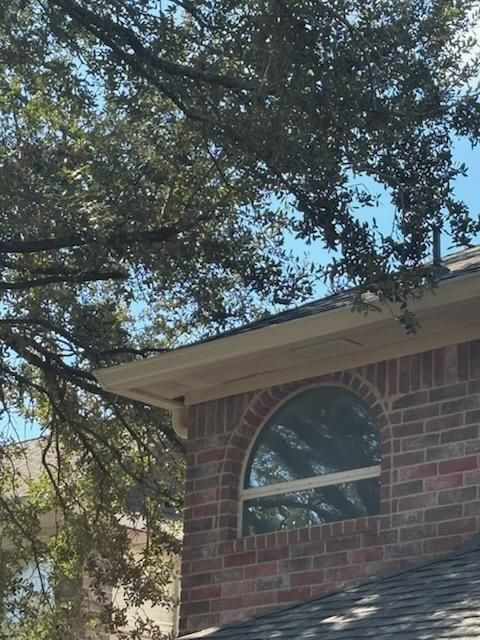 All Photos for Servin's Tree Care  in Houston, TX