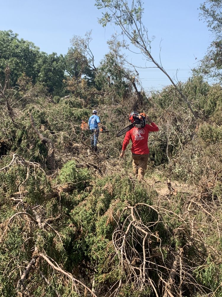 All Photos for Braun Tree Service in Floresville, Texas