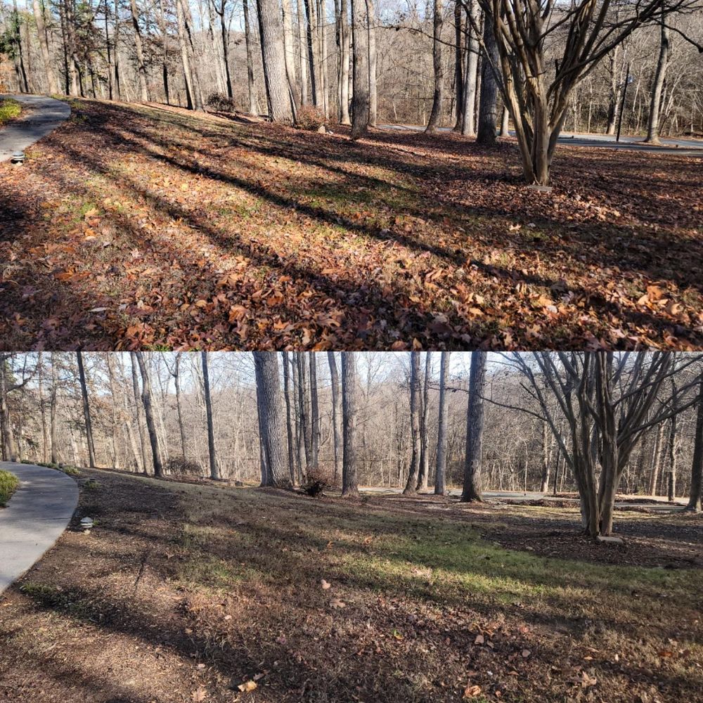 Our Fall and Spring Clean Up service ensures that your lawn stays clean and tidy by removing leaves, debris, and preparing it for each season's unique needs. for Piedmont Lawn and Landscaping in Lexington, NC