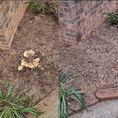 All Photos for Morgan's Stump Removal in Rock HIll, SC