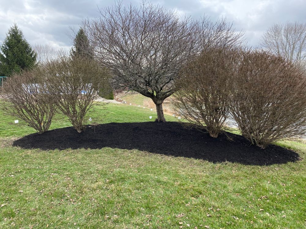 All Photos for Bearforce Lawn Care LLC in Greenfield, IN