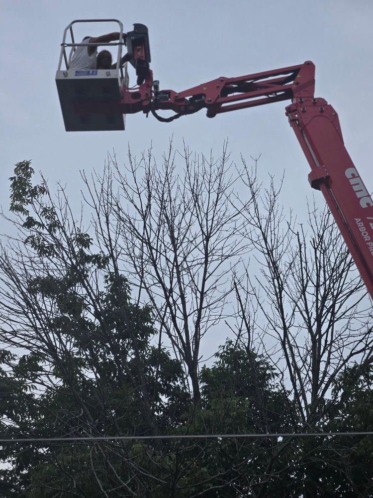 All Photos for Lawn Ranger Yard And Tree Service LLC in Ottumwa, IA