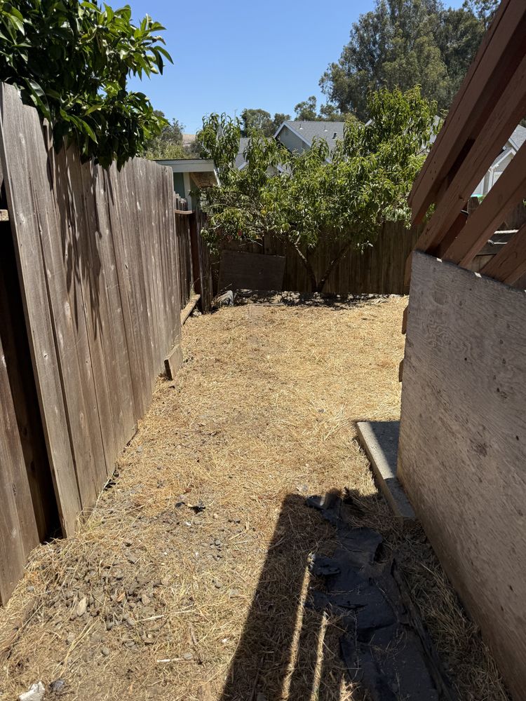 All Photos for CBA Landscaping in Hayward, CA