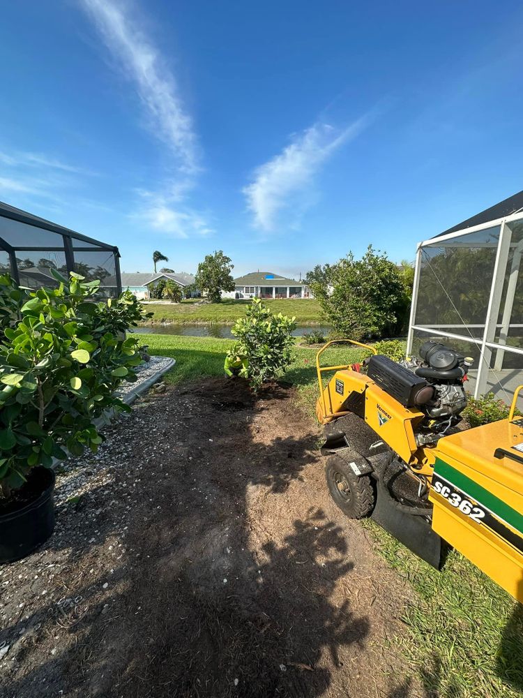 Tree Removal for MX Trees LLC in Englewood, FL